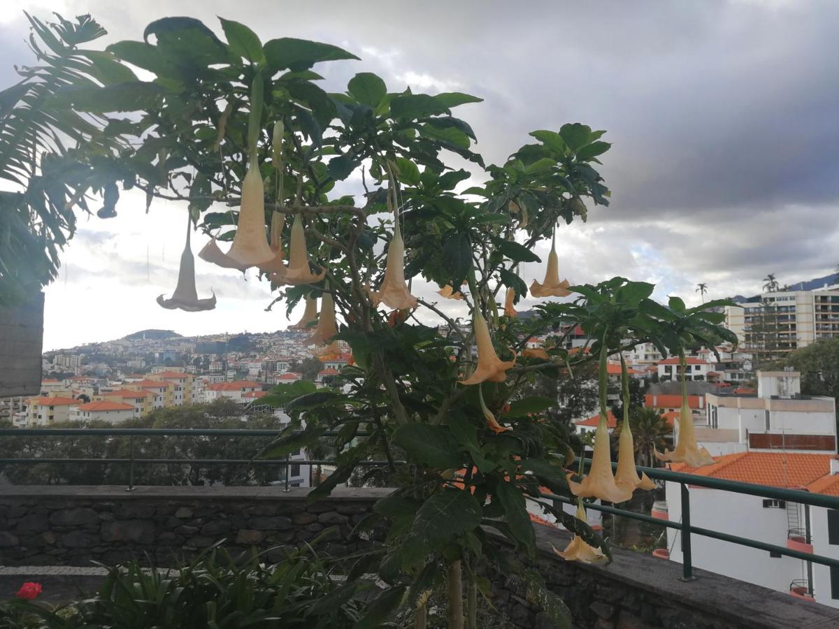 Casa Vanday Funchal  Exterior foto
